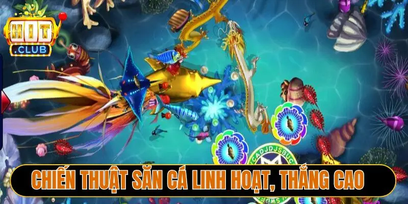 Chiến thuật săn cá linh hoạt, thắng cao